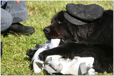 de La Kabane Des Peluches Noires - Aurevoir mon bébé